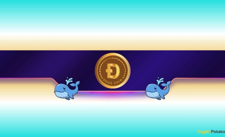 3 Reasons Why Dogecoin (DOGE) Is Ready for a Breakout