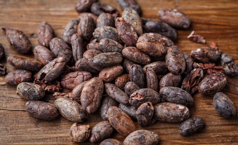 Cocoa Prices Fall on Larger Supplies from the Ivory Coast