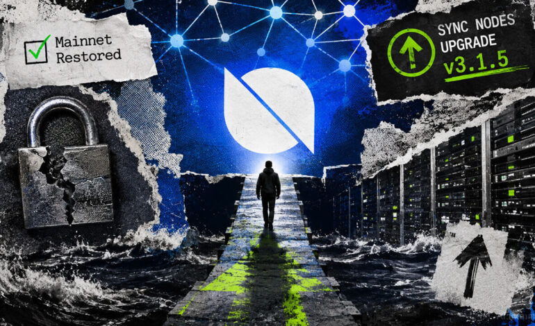 Ontology forces urgent node upgrade after restarting chain hit by malicious activity